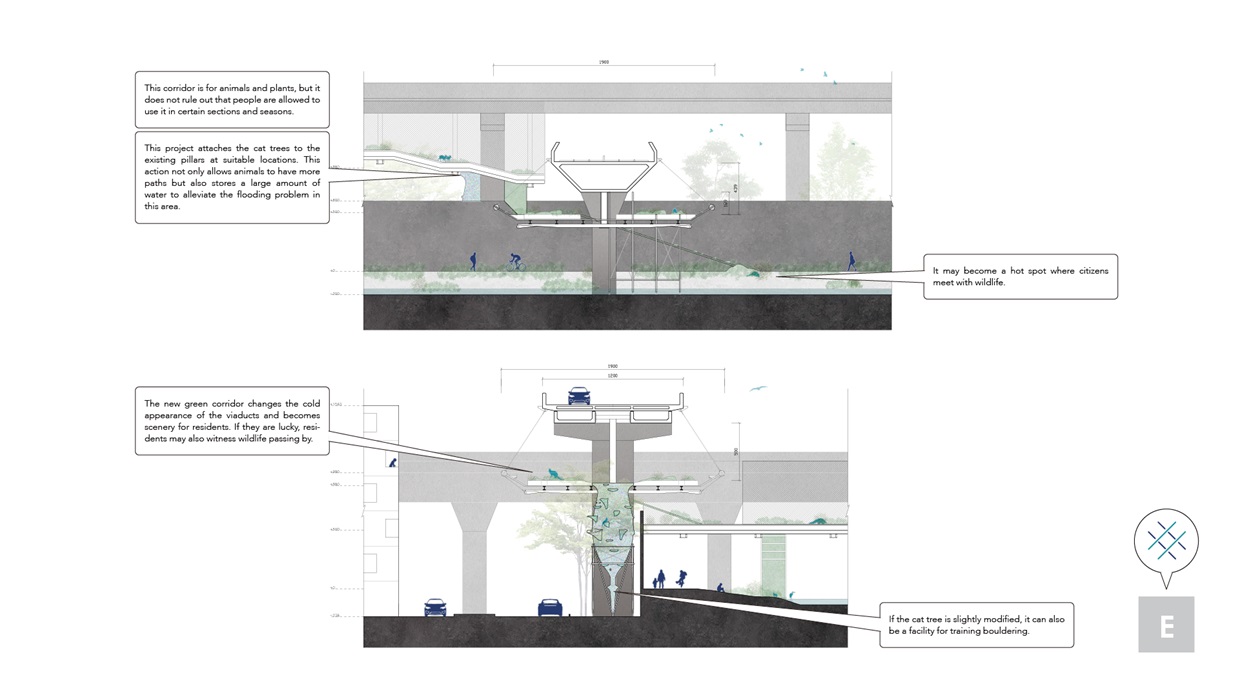 section–Animal Footbridge It is the infrastructure that is combined with the existing viaducts for animals to cross the city.