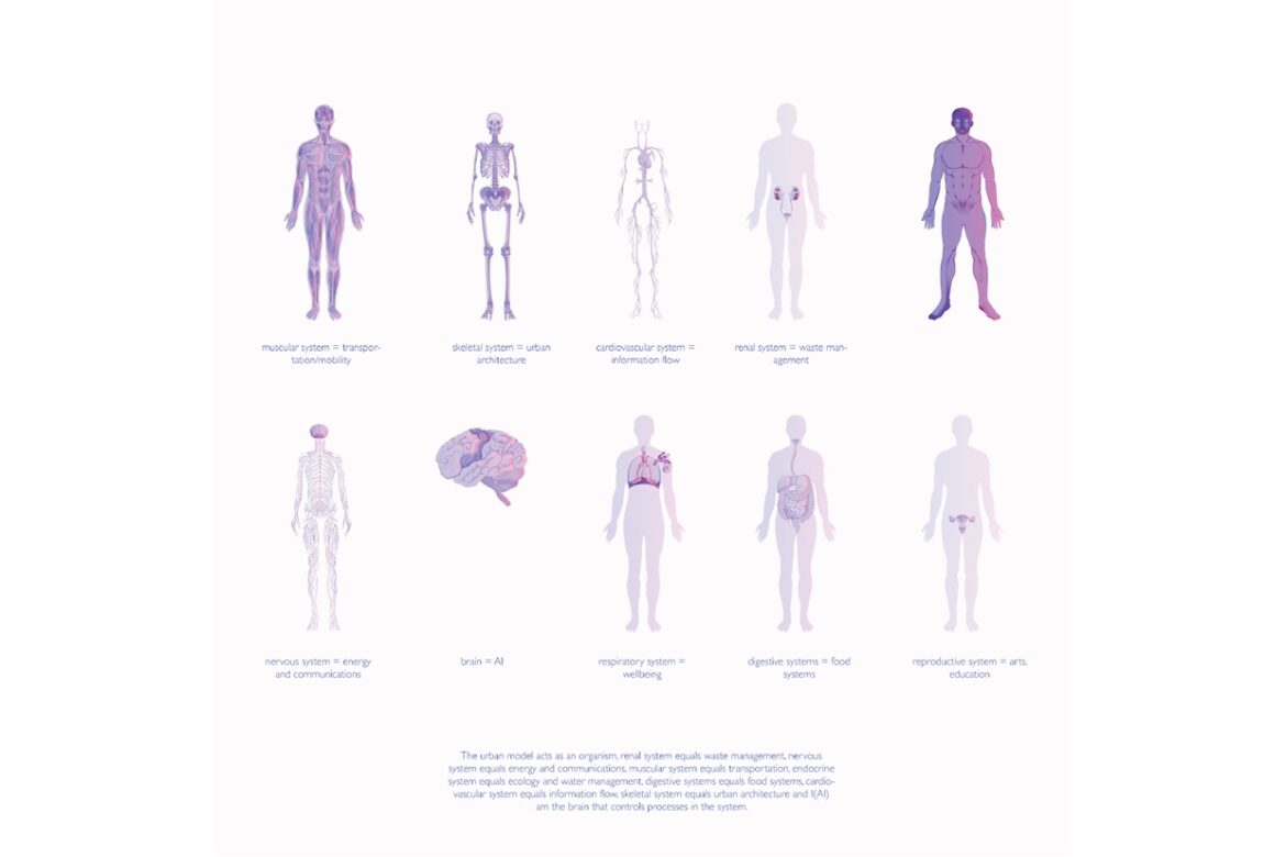 City systems as a metaphorical body sytems diagram