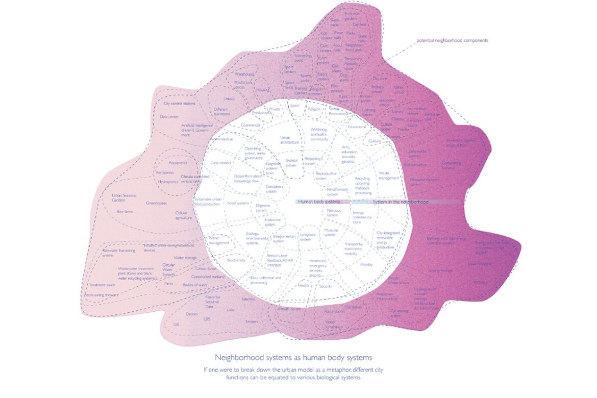 Neighbourhood systems as a human body systems diagram