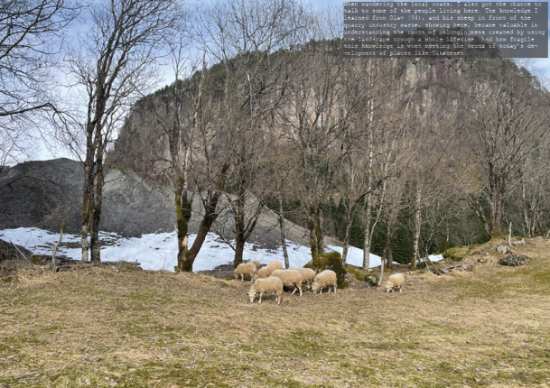 Olav`s sheep and two different mountains
