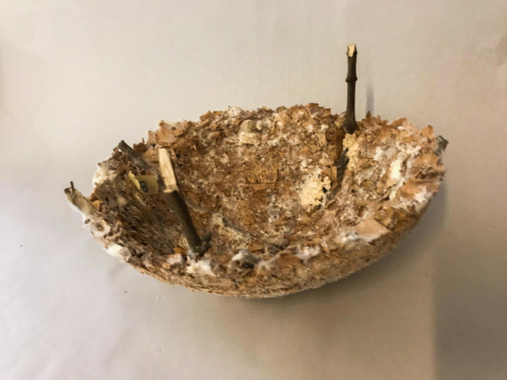Mycelium bowl made with found sticks