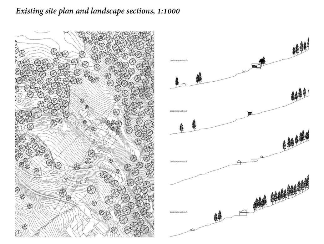 Existing site plan and landscape sections, 1:1000