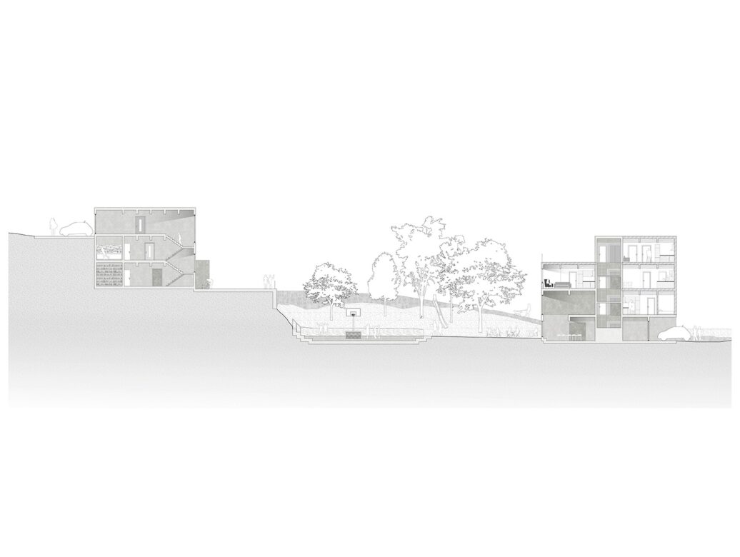 Section thorough shared stairwell, sports area and common hall. 1:50