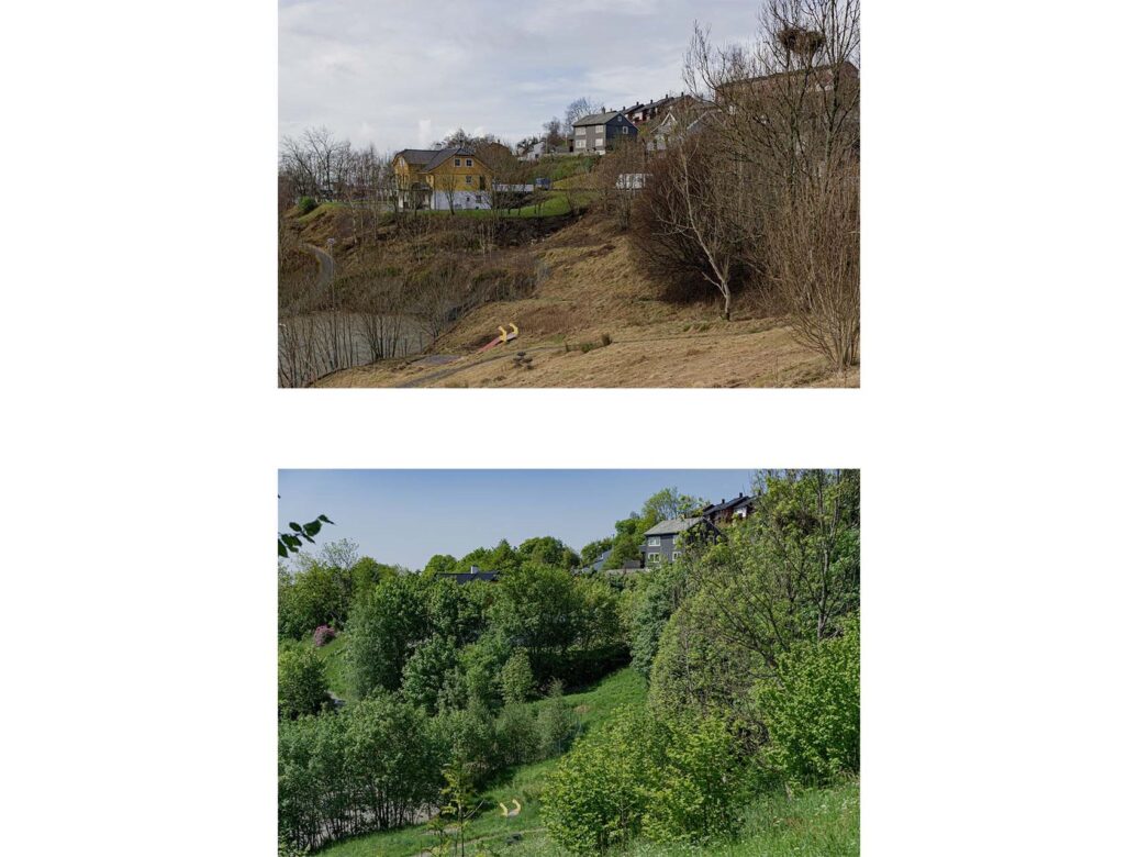 Seasonal changes of site, January - June