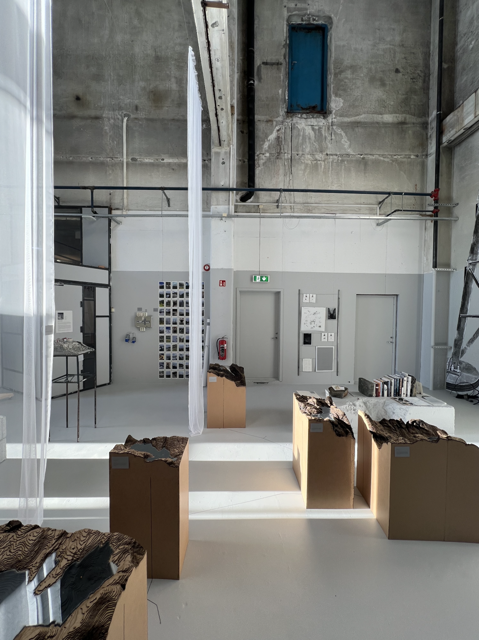 Exhibition space in the Cathedral at BAS