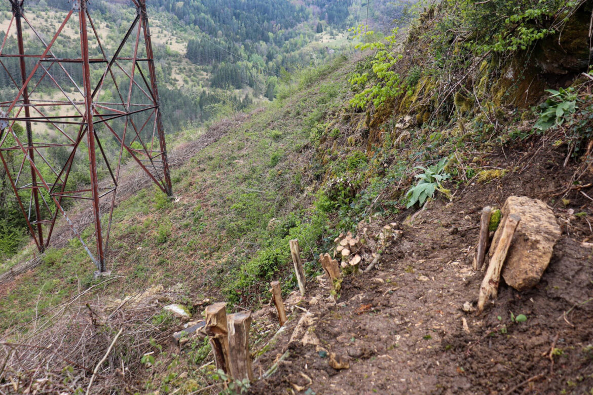 Making of a path at Le Montavoies, in Jura, France